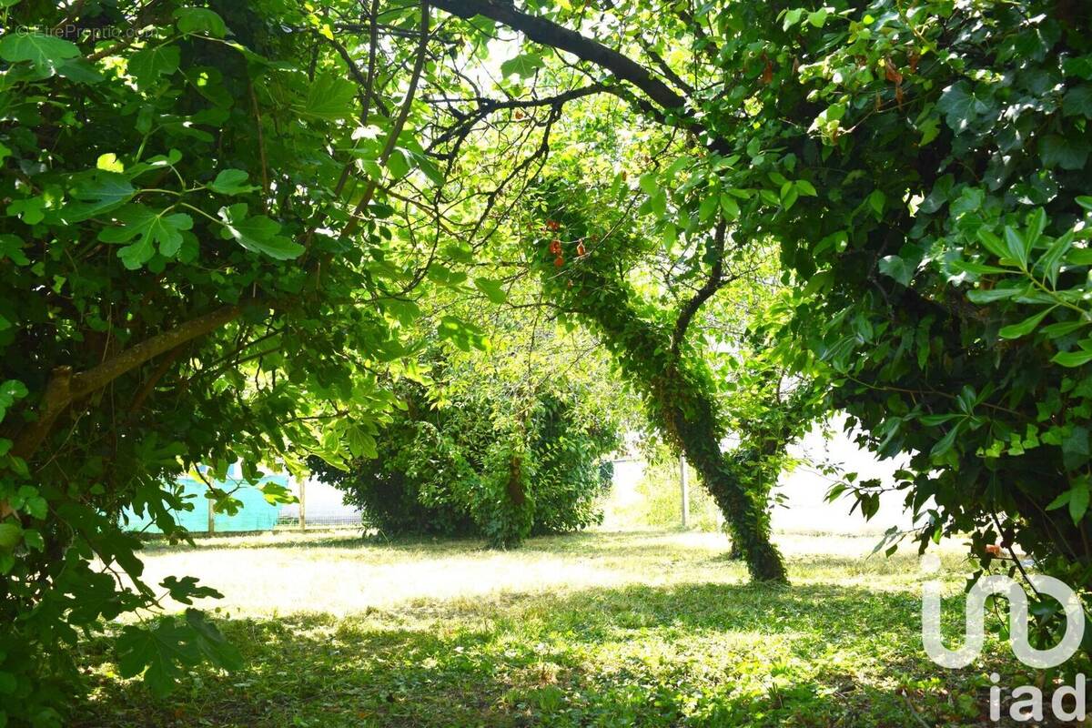 Photo 1 - Maison à SAINT-PIERRE-D&#039;OLERON