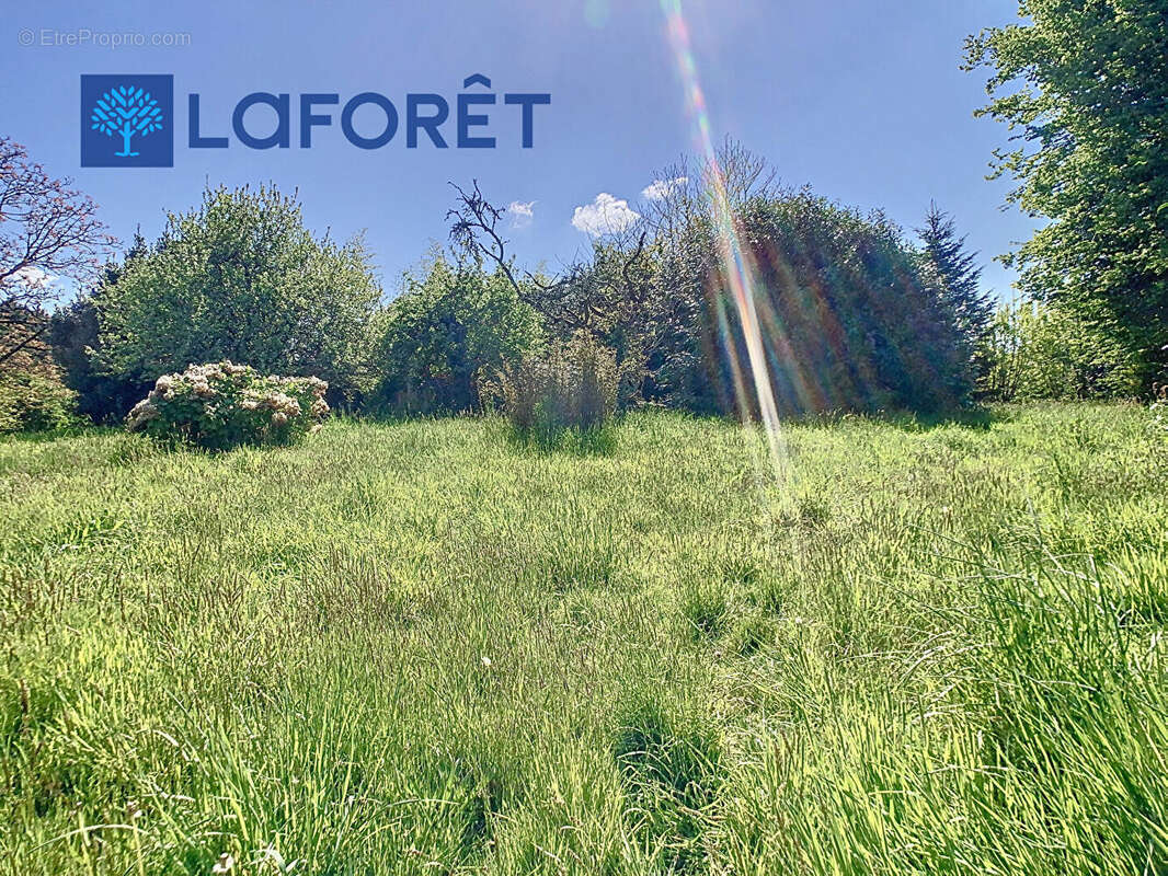 Terrain à LOCMALO