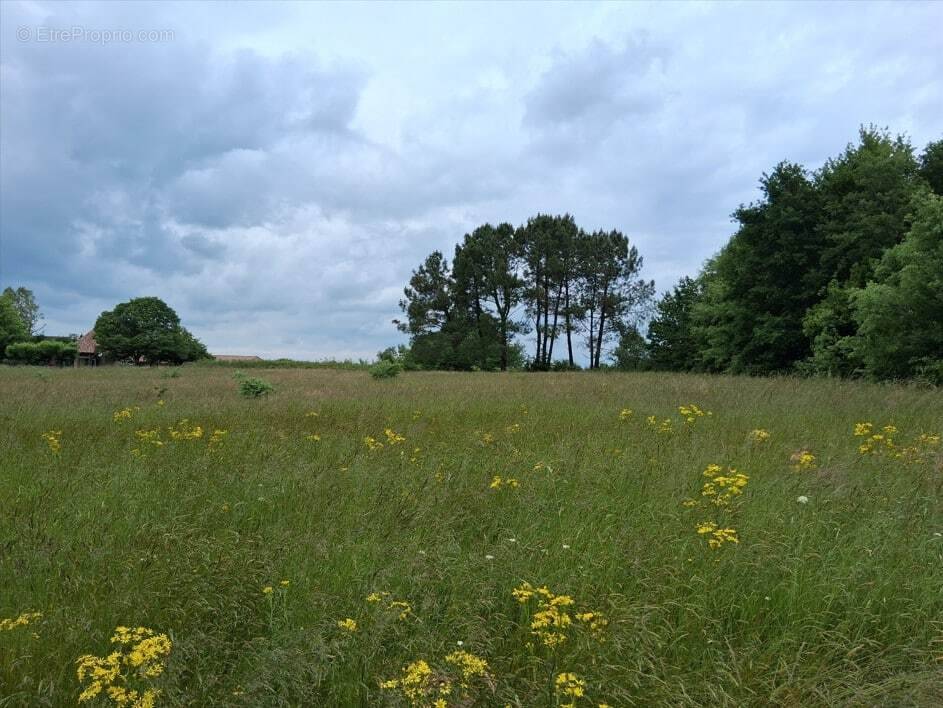 Terrain à BOSSET