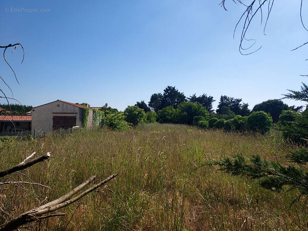 Terrain à SAINT-PIERRE-D&#039;OLERON