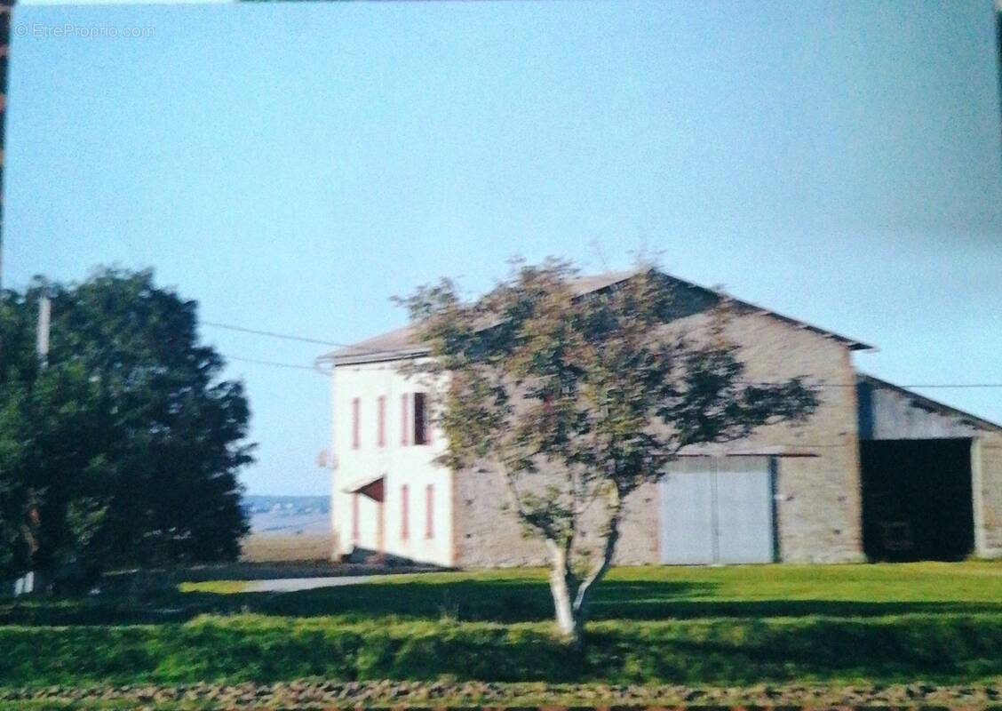 Maison à LISLE-SUR-TARN
