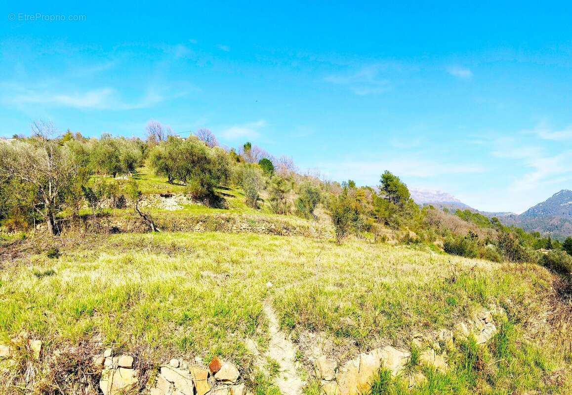 Terrain à PIERREFEU