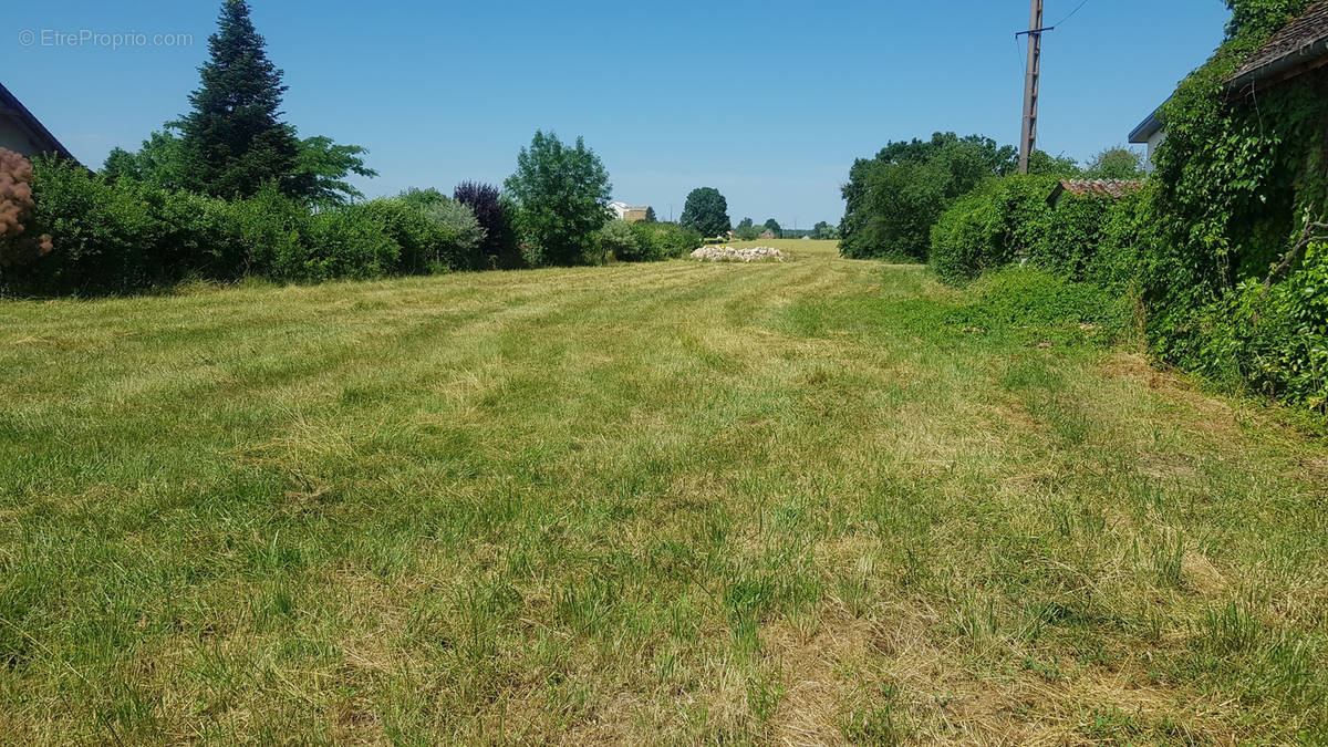 Terrain à GERGY
