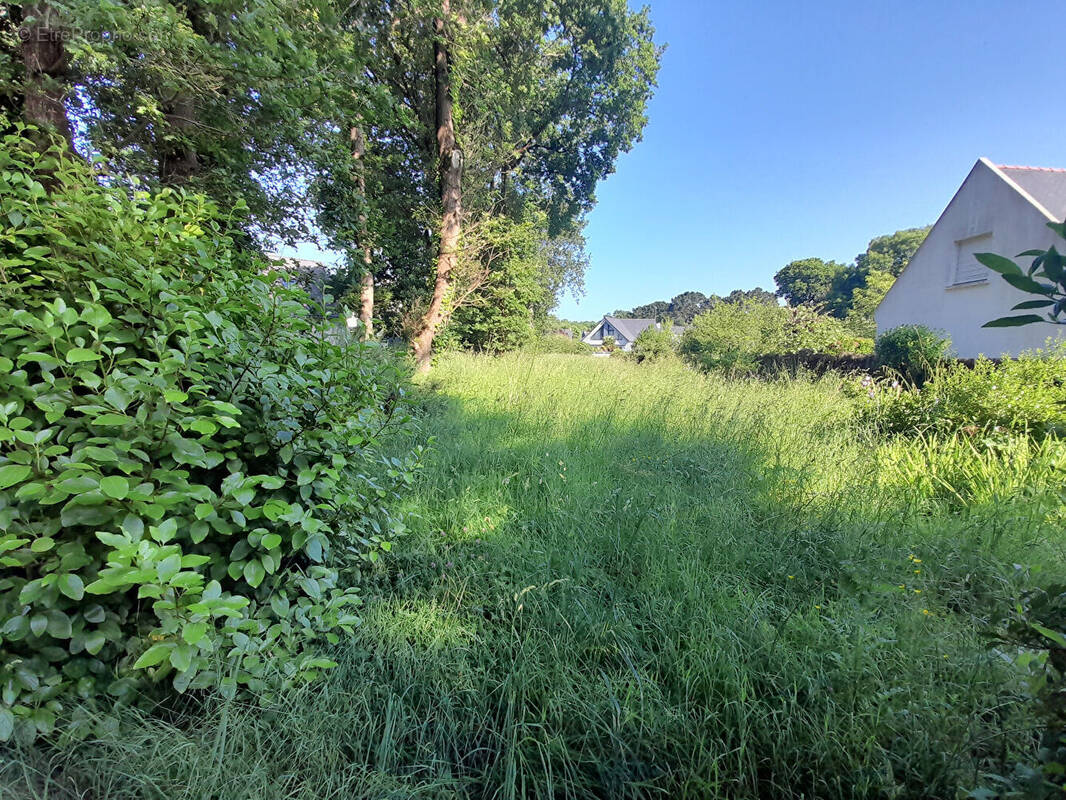 Terrain à MESQUER