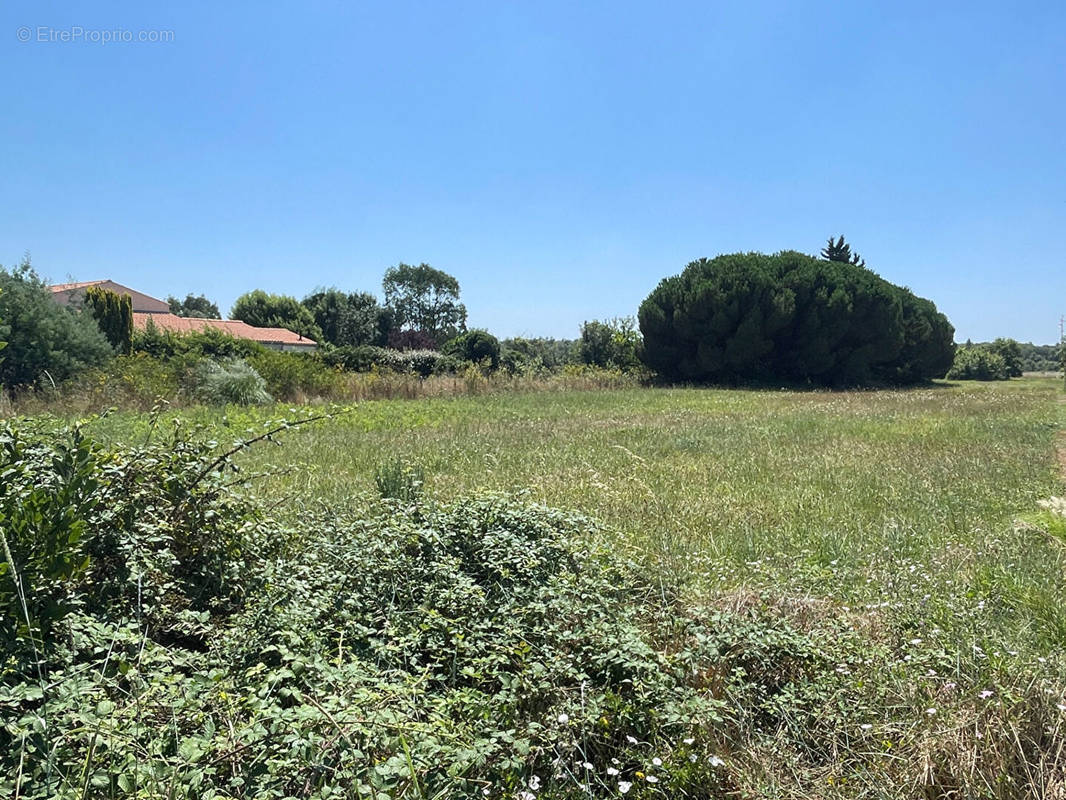 Terrain à SAINT-PIERRE-D&#039;OLERON
