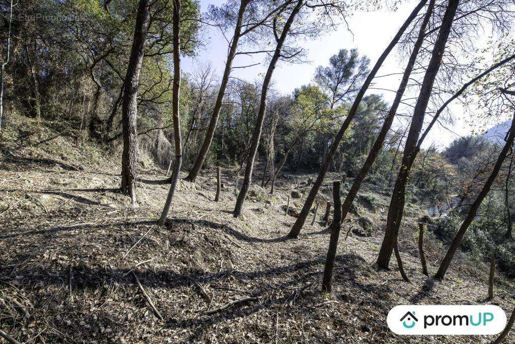 Terrain à GORBIO
