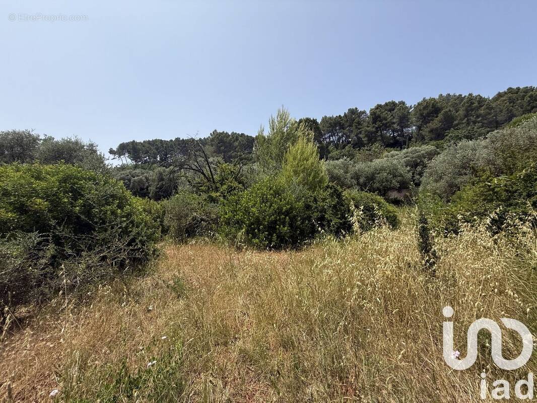 Photo 1 - Terrain à LE CANNET-DES-MAURES