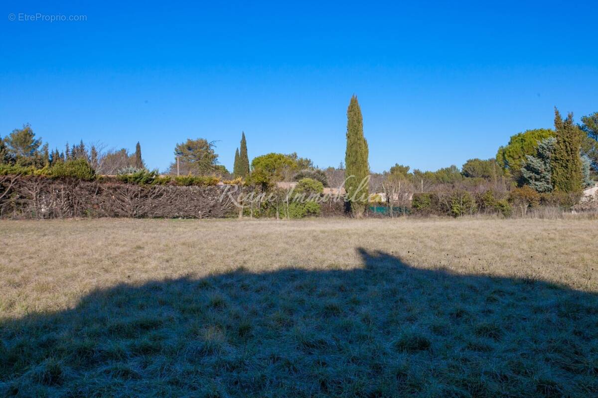 Terrain à LACOSTE