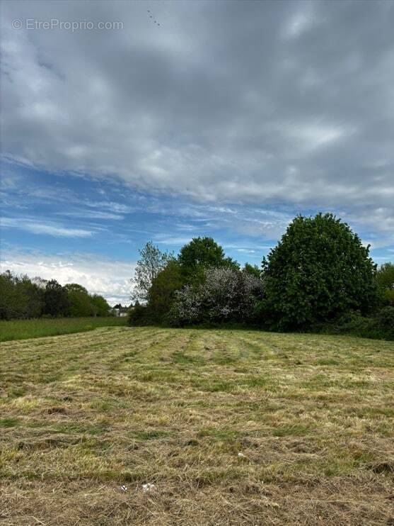 Terrain à BERGERAC