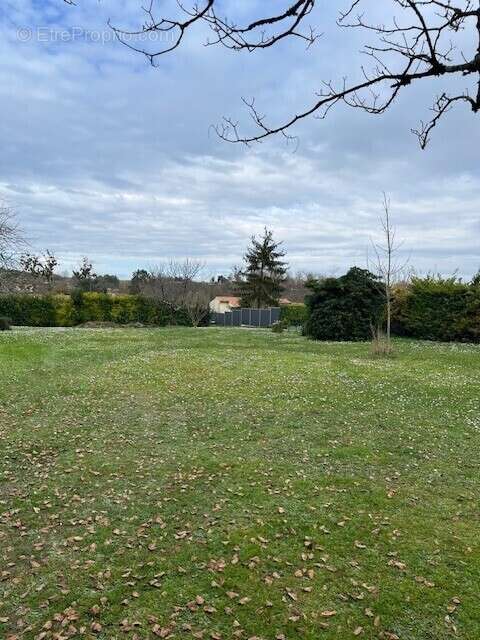 Terrain à COGNAC