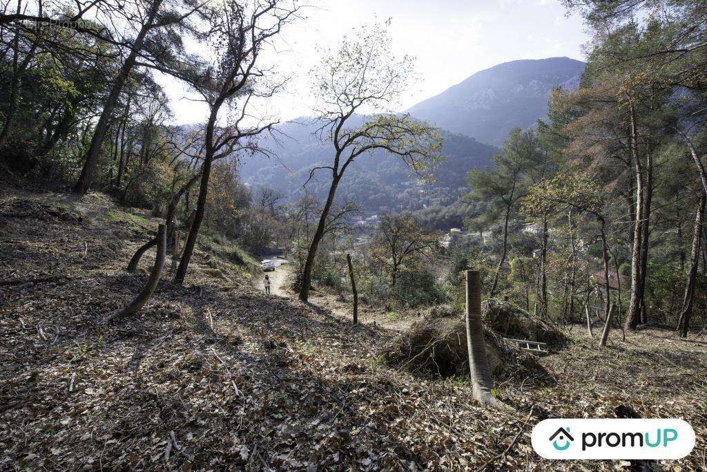 Terrain à GORBIO