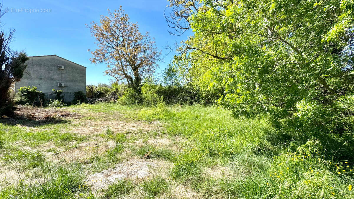 Terrain à ENTRAIGUES-SUR-LA-SORGUE
