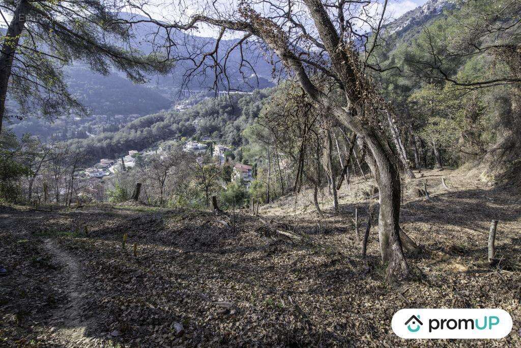 Terrain à GORBIO