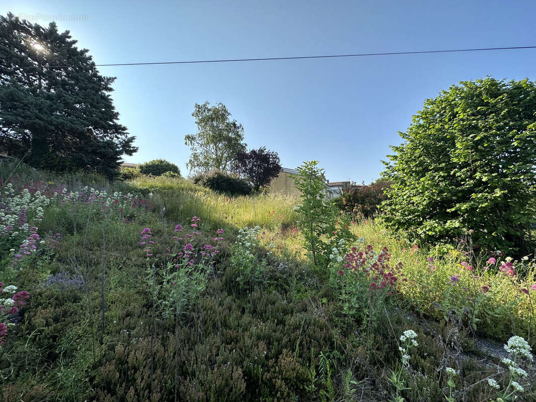 Photo 3 - Terrain à SAINT-JUST-LA-PENDUE