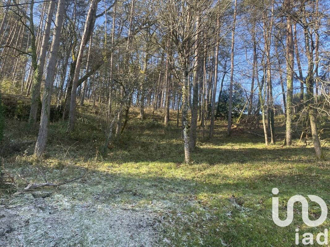 Photo 1 - Terrain à BRIVE-LA-GAILLARDE