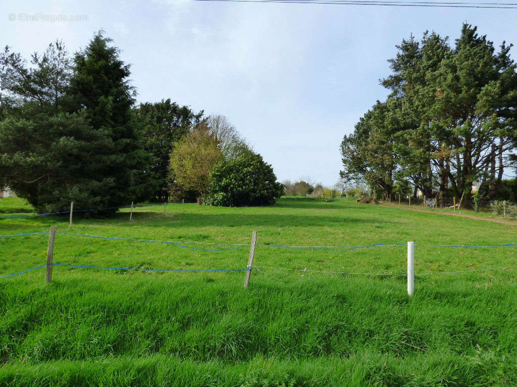 Terrain à LANOUEE