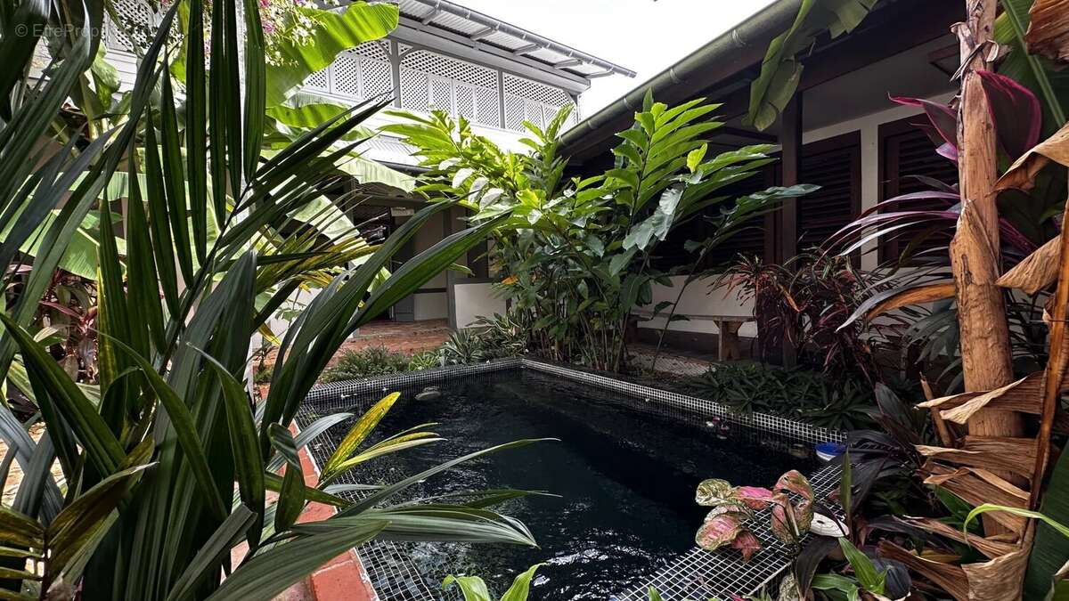Maison à CAYENNE
