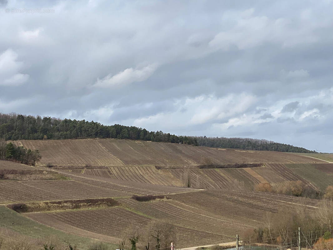Terrain à EPERNAY