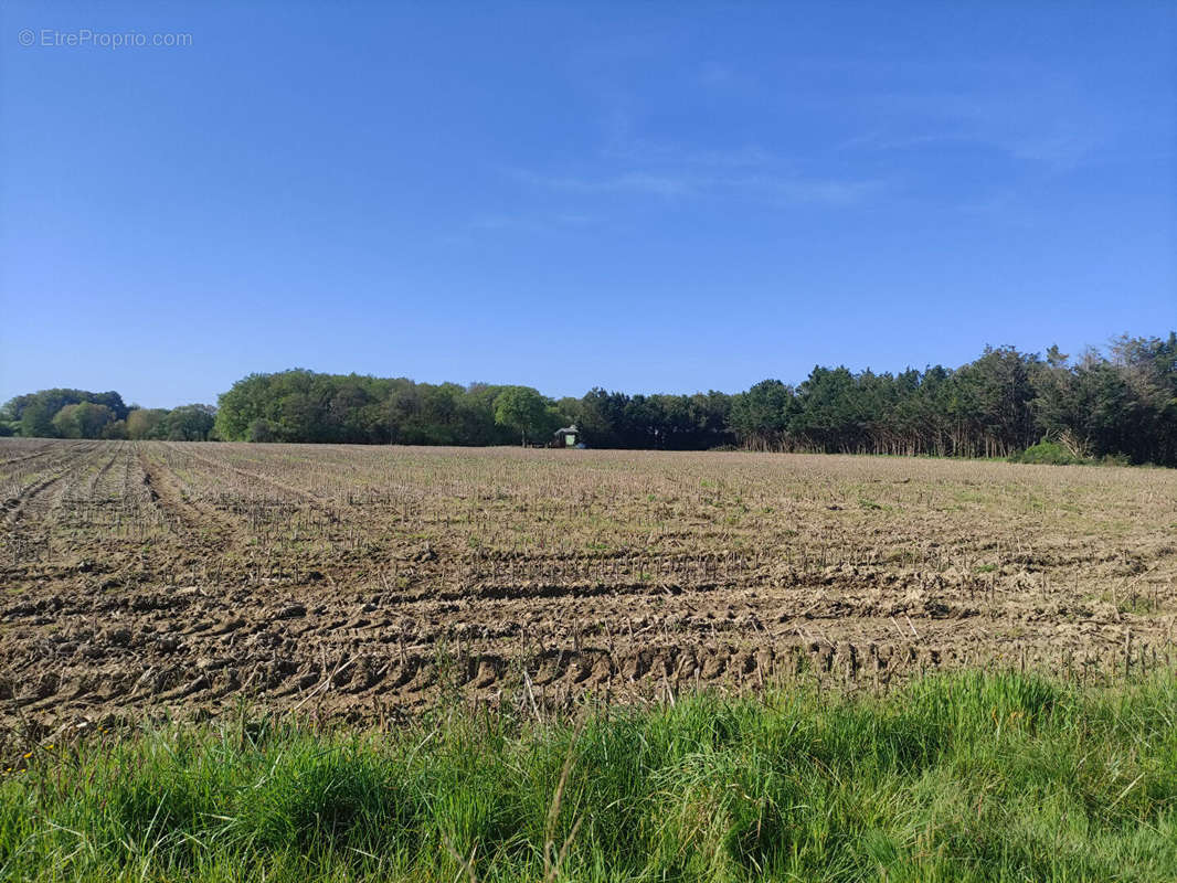 Terrain à DREFFEAC