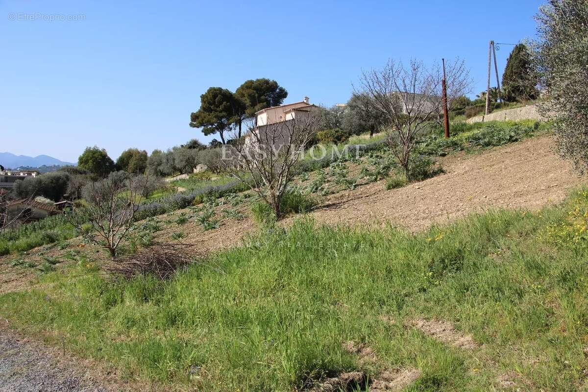 Terrain à CANNES