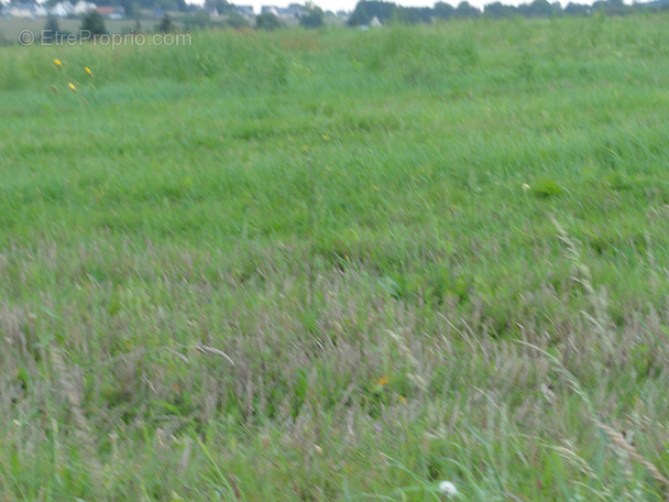 Terrain à PLOERDUT