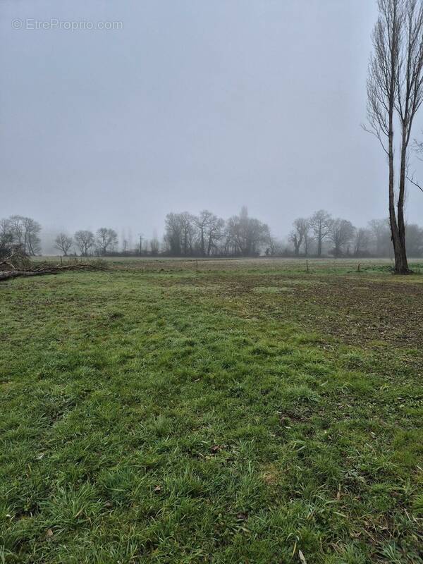 Terrain à MIGNE-AUXANCES