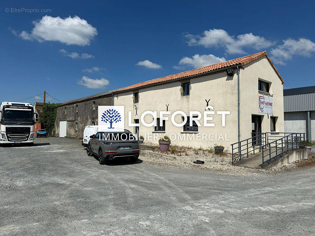 Commerce à MAULEON