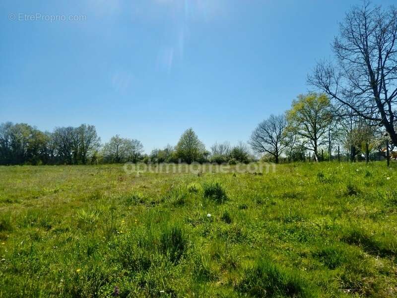 Terrain à MILHAC-D&#039;AUBEROCHE