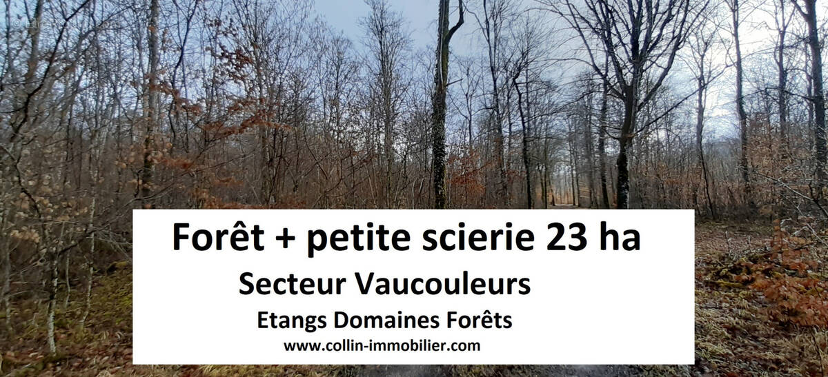 Terrain à VAUCOULEURS