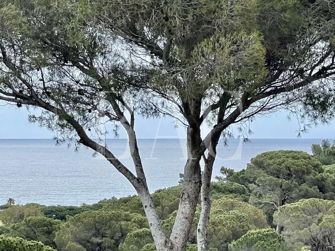 Maison à SAINTE-MAXIME