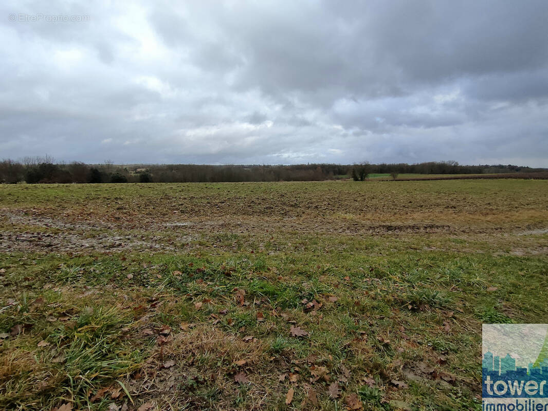 Terrain à GAILLAC