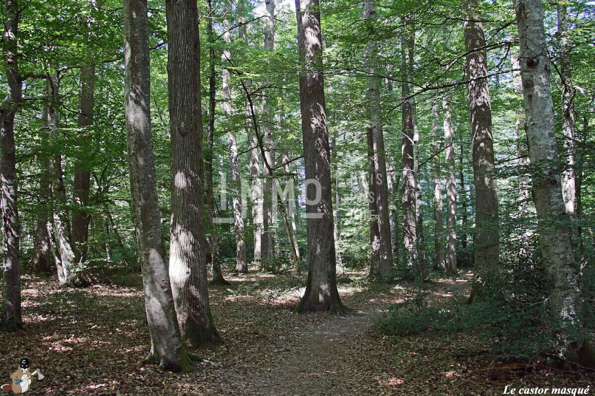 Terrain à CHENU
