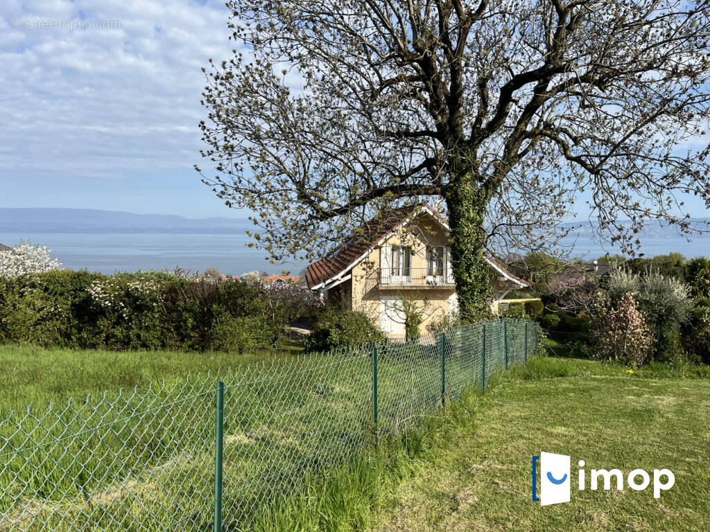 Maison à MAXILLY-SUR-LEMAN