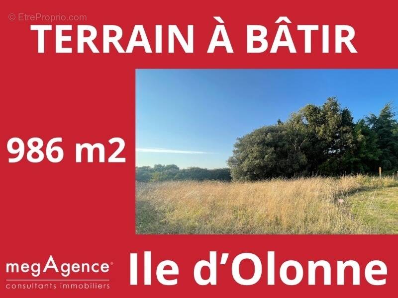 Terrain à L&#039;ILE-D&#039;OLONNE