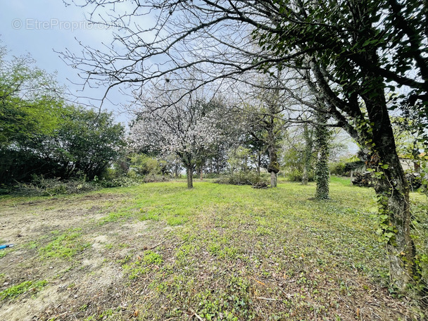 Terrain à BEAUMONT