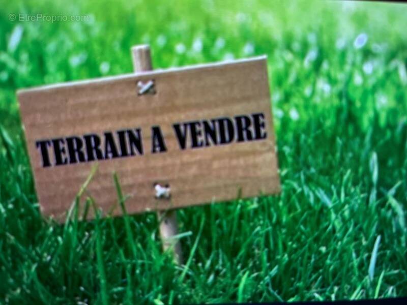Terrain à NOINTEL