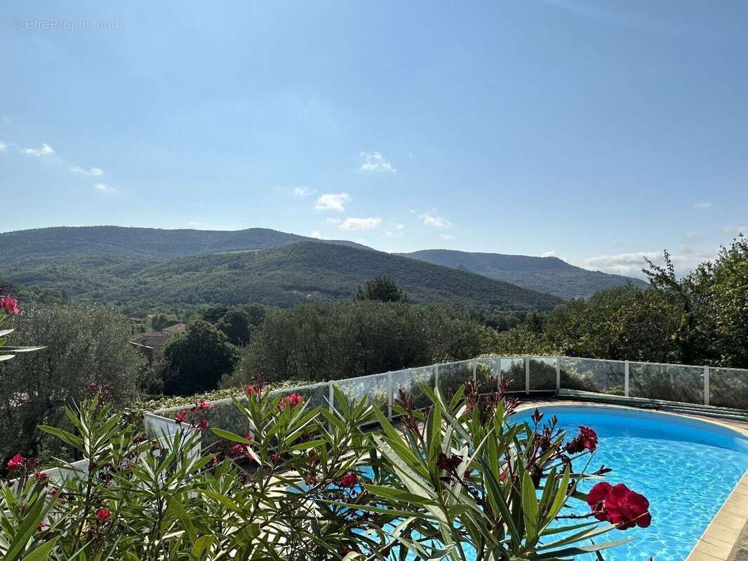 Photo 4 - Maison à LE BOUSQUET-D&#039;ORB