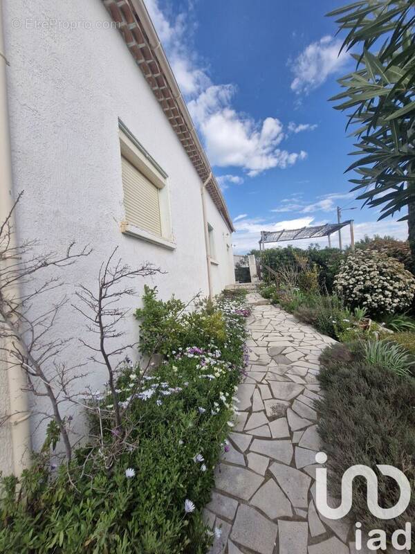Photo 1 - Maison à MARSEILLAN