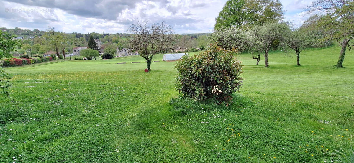 Terrain à AIXE-SUR-VIENNE