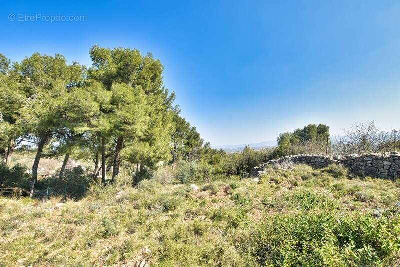 Terrain à CLERMONT-L&#039;HERAULT
