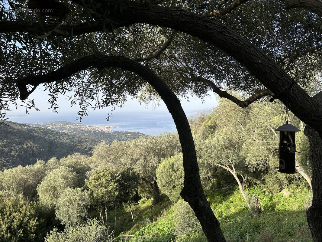 Maison à PROPRIANO