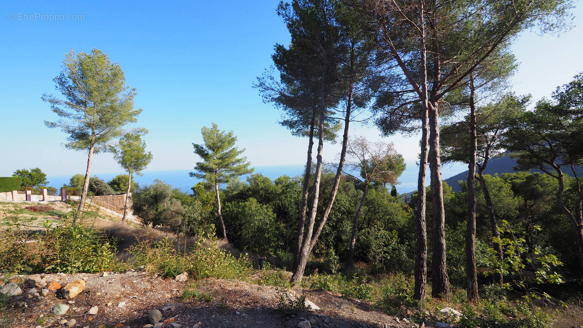 Terrain à LA TURBIE