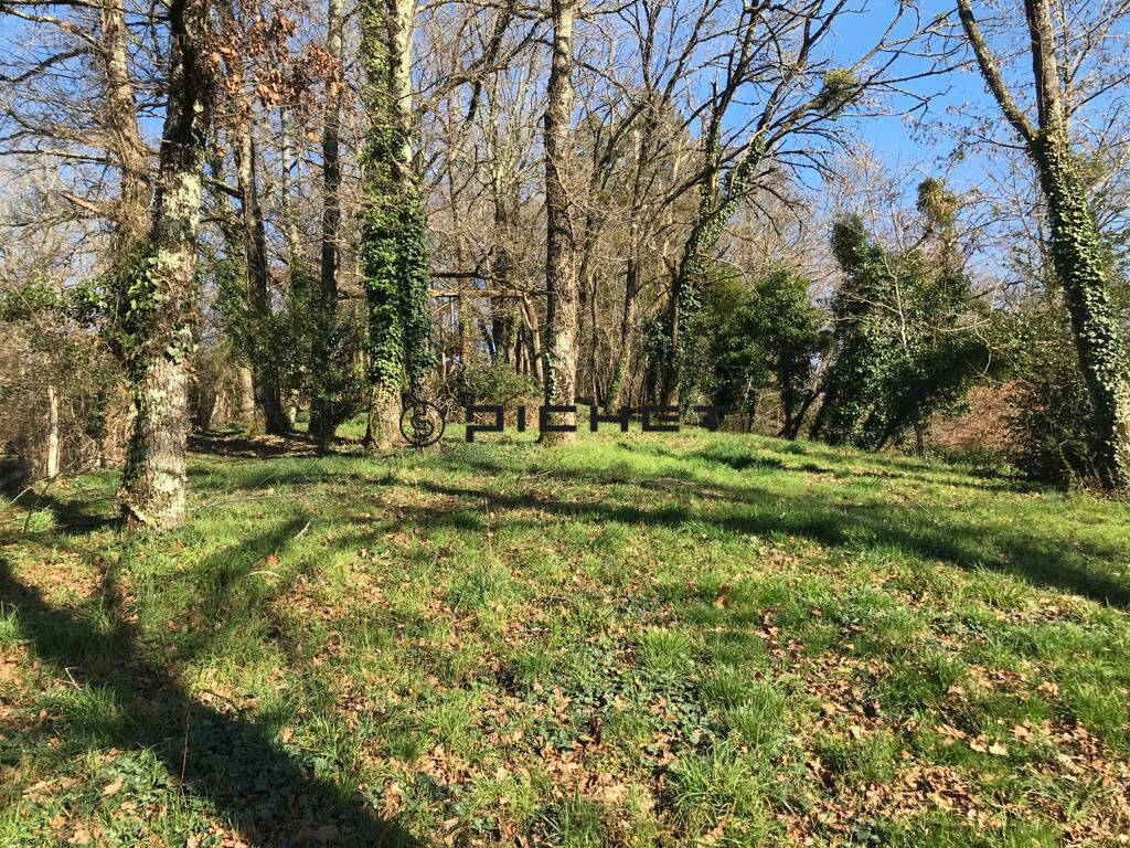 Terrain à MALEMORT-SUR-CORREZE