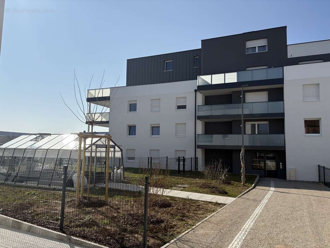Zoey à Souffelweyersheim